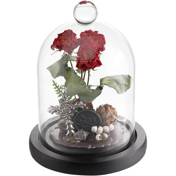 Glass Dome Cloche 105x160mm Glass Cloche with Black Wood Base Clear Glass Dome Cover Glass Display Dome Cloche Bell Jar Decorative Case