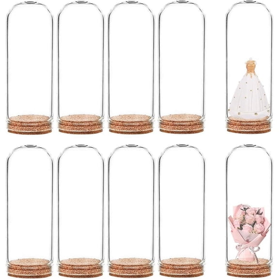 Glass Dome Cloche Cover Bell Jar with Cork Base For House Container Dried Flower Display Decoration Clear 71.5x28mm 20pcs/box for DIY