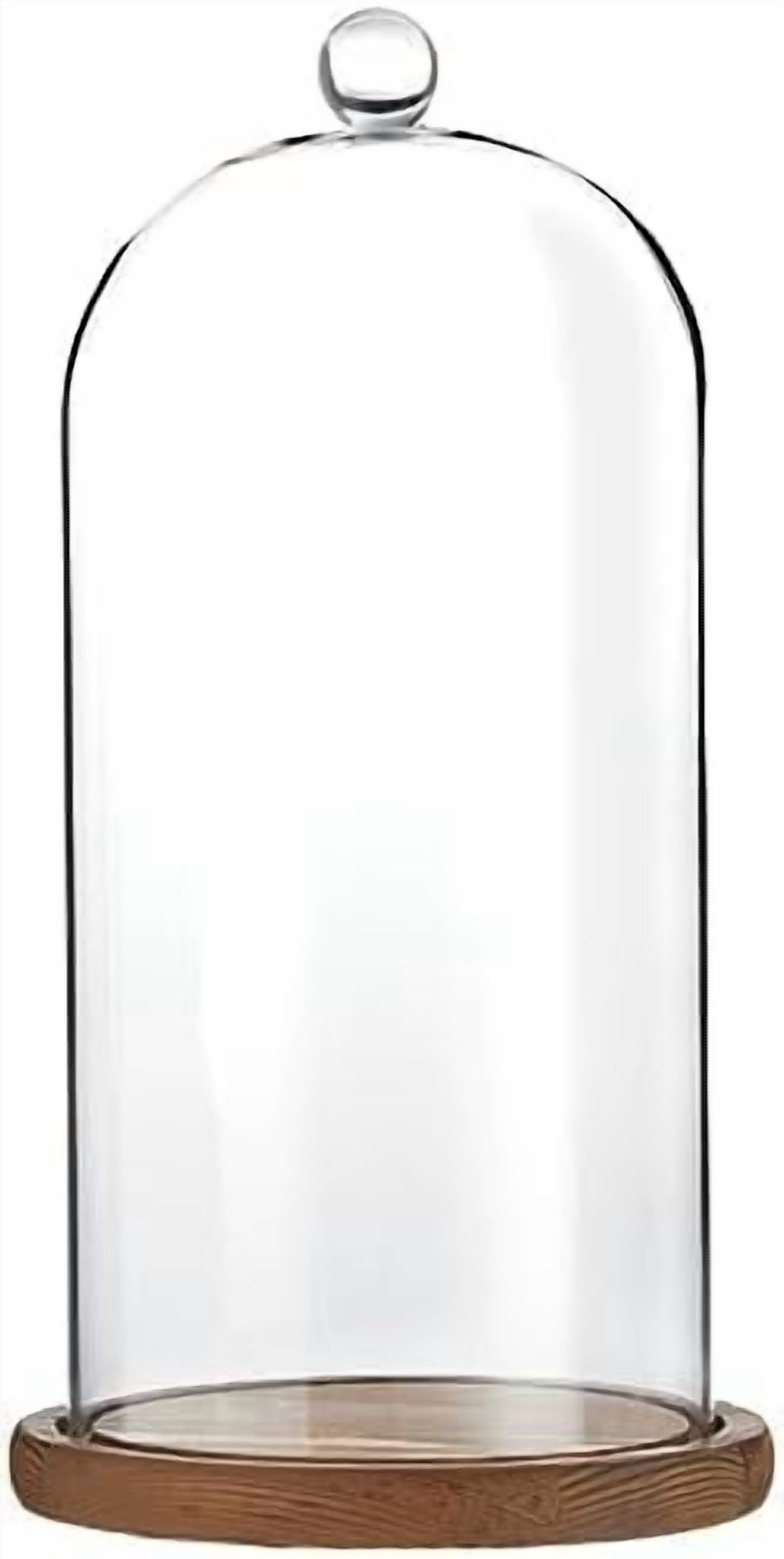 6 Piece Plastic Dome Cloche Set With Wood Bases - Display Domes For Collectibles & Decor 6 thumbnail image