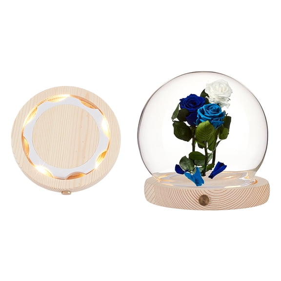 Glass Dome Cloche with LED Light Base High Transparency Display Dome Eternal Flower Glass Dome Cover
