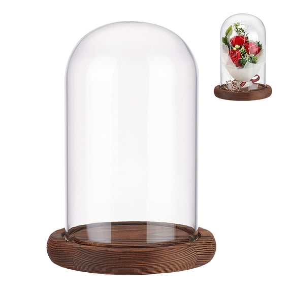 Glass Dome Cover Decorative Display Case Cloche Bell Jar Terrarium with Wood Base for DIY Preserved Flower Gift Coconut Brown Finished Product: 113x163mm