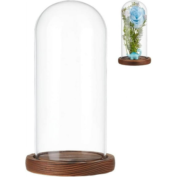 Glass Dome Cover Decorative Display Case Cloche Bell Jar Terrarium for DIY Preserved with Wood Base Flower Gift Camel 104x190mm
