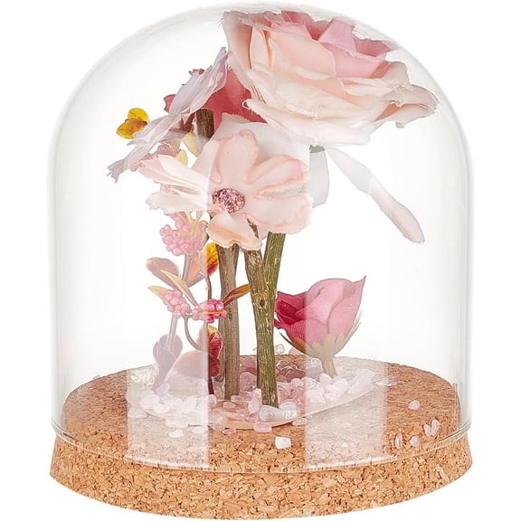 Glass Dome Cover Decorative Display Case Cloche Bell Jar Terrarium with Cork Base Clear 120x140mm Inner Diameter: 115mm diy