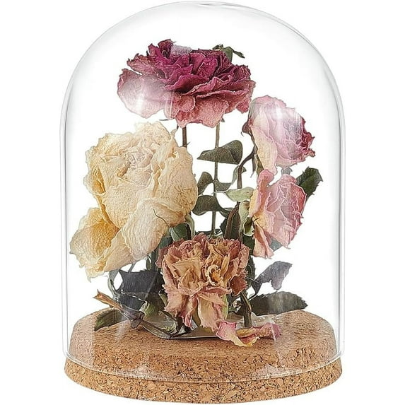 Glass Dome Cover Decorative Display Case Cloche Bell Jar Terrarium with Cork Base Clear 125x165mm Inner Diameter: 116mm