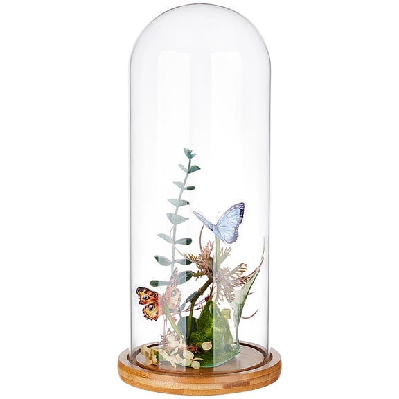 Glass Dome Cover Decorative Display Case Cloche Bell Jar Terrarium with Wood Base Arch Sandy Brown Finished Product: 143x317.5mm diy