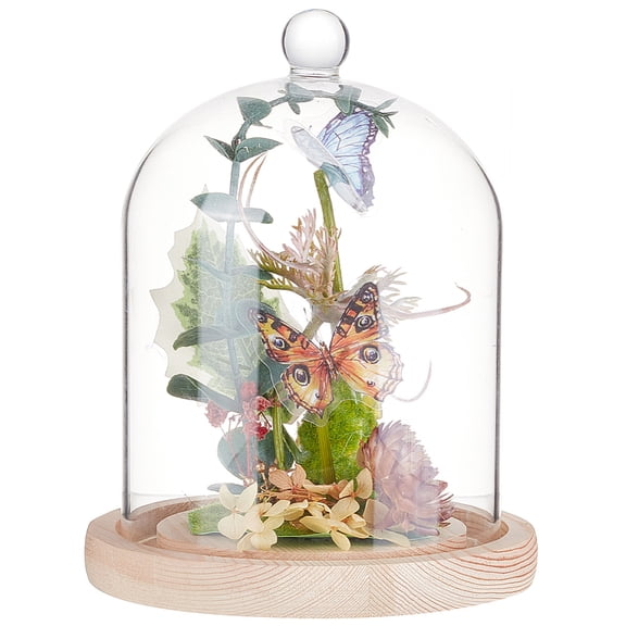 Glass Dome Cover Decorative Display Case Cloche Bell Jar Terrarium with Wood Base Round 140x195mm DIY