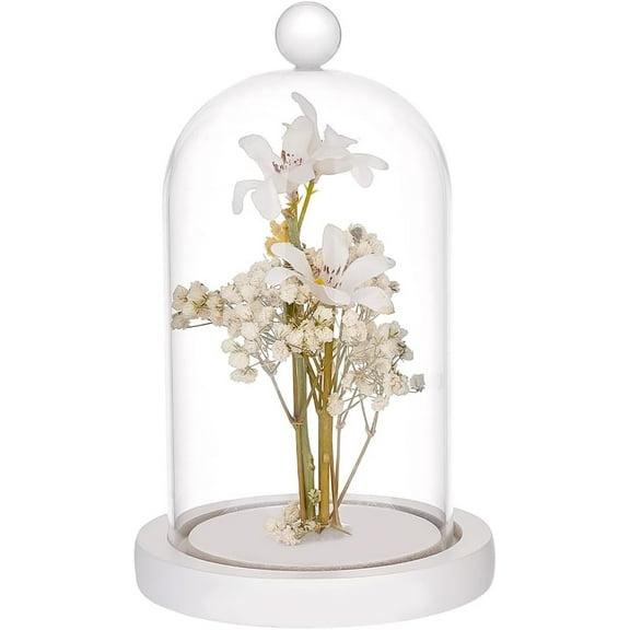 Glass Dome Cover Decorative Display Case Cloche Bell Jar Terrarium with Wood Base White 113x180mm