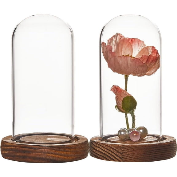 Glass Dome Cover Decorative Display Case Cloche Bell Jar Terrarium with Wood Base for DIY Preserved Flower Gift Coffee 82x133mm 2pcs/box