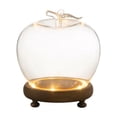 thumbnail image 1 of Glass Dome Display Case with Natural Wood Base, Apple Dome Cloche for Collectibles and Decorative Centerpiece, Bottom-Lit Display Cloche for Home Decor, Valentine's Day Gift for Couples, 1 of 9