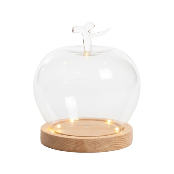 Glass Dome,Glass Cloche Dome Clear Globe Display Dome with Wood Base ,Glass Display Case for Plant, Flower ,Stone ,Models ,Butterfly Display Home Party Decoration,3.54x5.5inch(With Light)