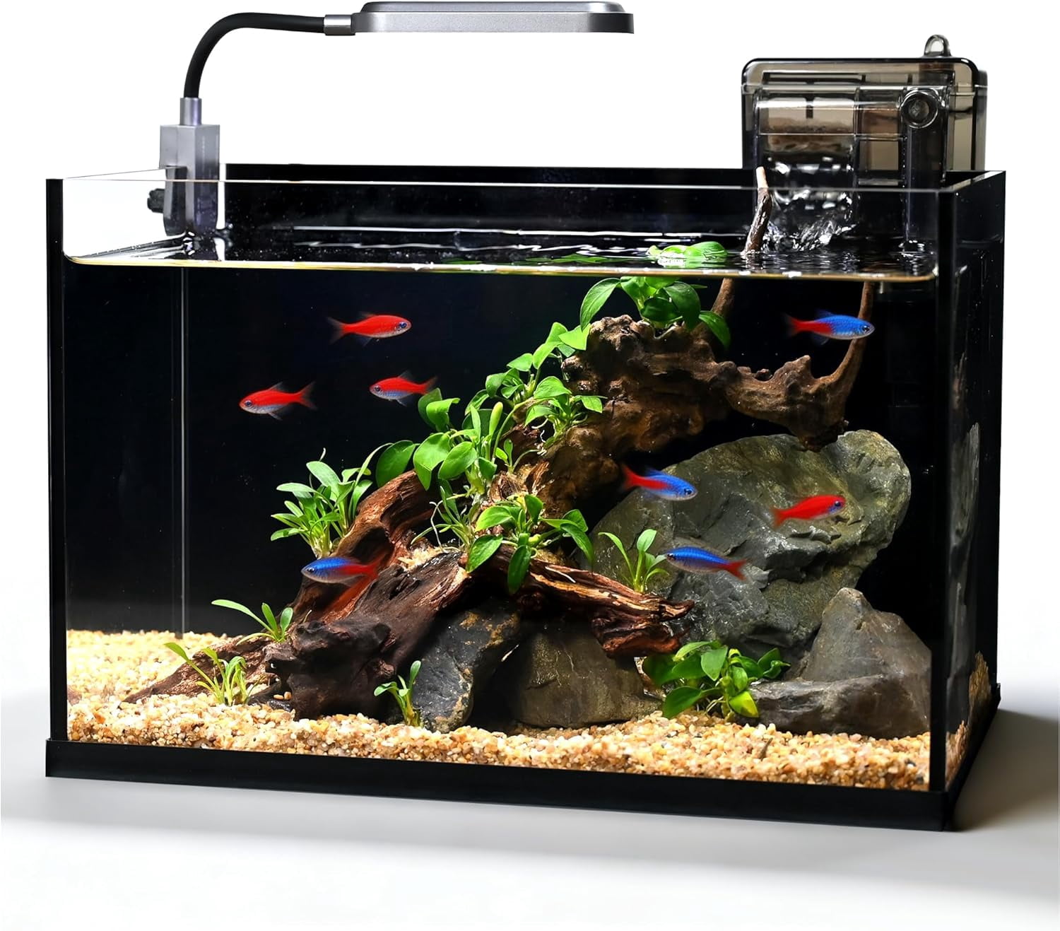 Glass Fish Tank Kit, 2.8 Gallon Small Aquarium, Ultra-Clear Nano Desktop Tank with Light and Filter, Betta Fish Starter Kit