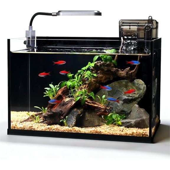 Glass Fish Tank Kit, 2.8 Gallon Small Aquarium, Ultra-Clear Nano Desktop Tank with Light and Filter, Betta Fish Starter Kit