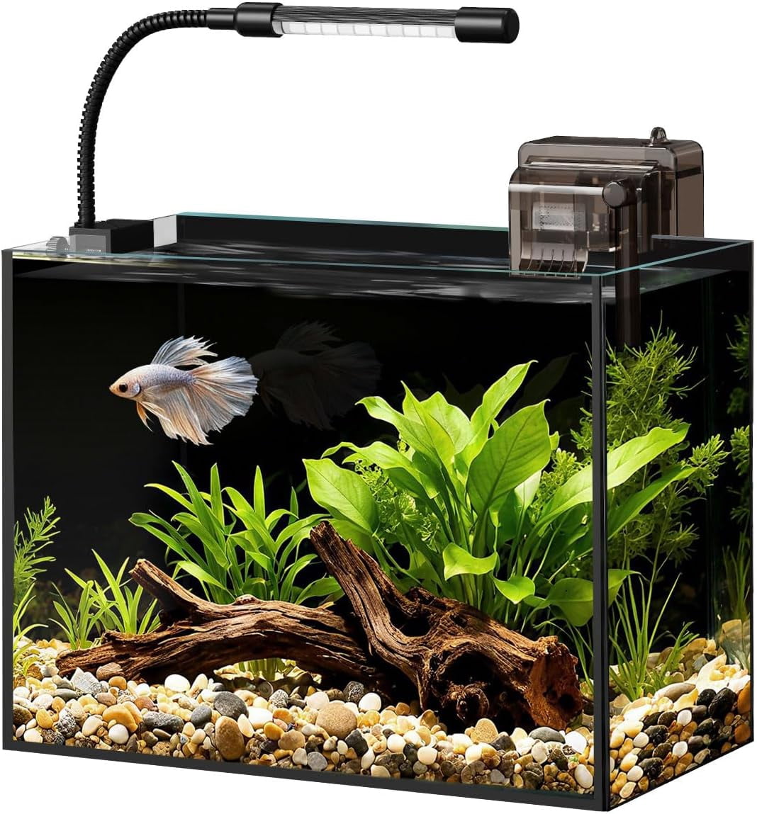 Glass Fish Tank Kit, 5 Gallon Betta Fish Tank Aquarium Starter Kit with Filter, Lights, Lid, for Betta, Goldfish, Small Fish or shrimg