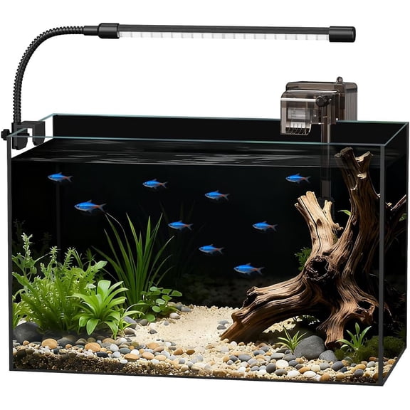 Glass Fish Tank Starter Kit, 2.5 Gallon Aquarium Kit with Filter and LED Light, Lid Included for Betta, Small Fish or Shrimp
