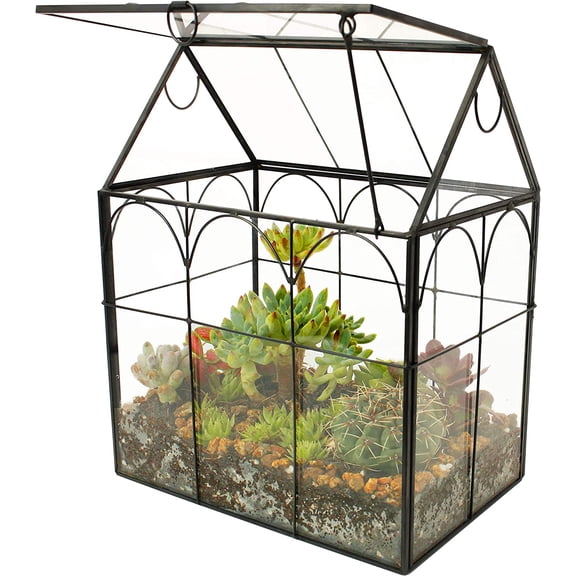 Glass Geometric Plant Terrarium,Succulent & Air Planter for Home Garden Office Decoration (Black House)