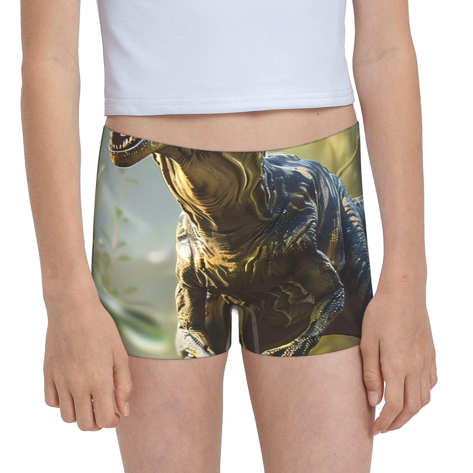 Easygdp Ferocious Dinosaur Girls Hipster Cotton Underwear Little Girls