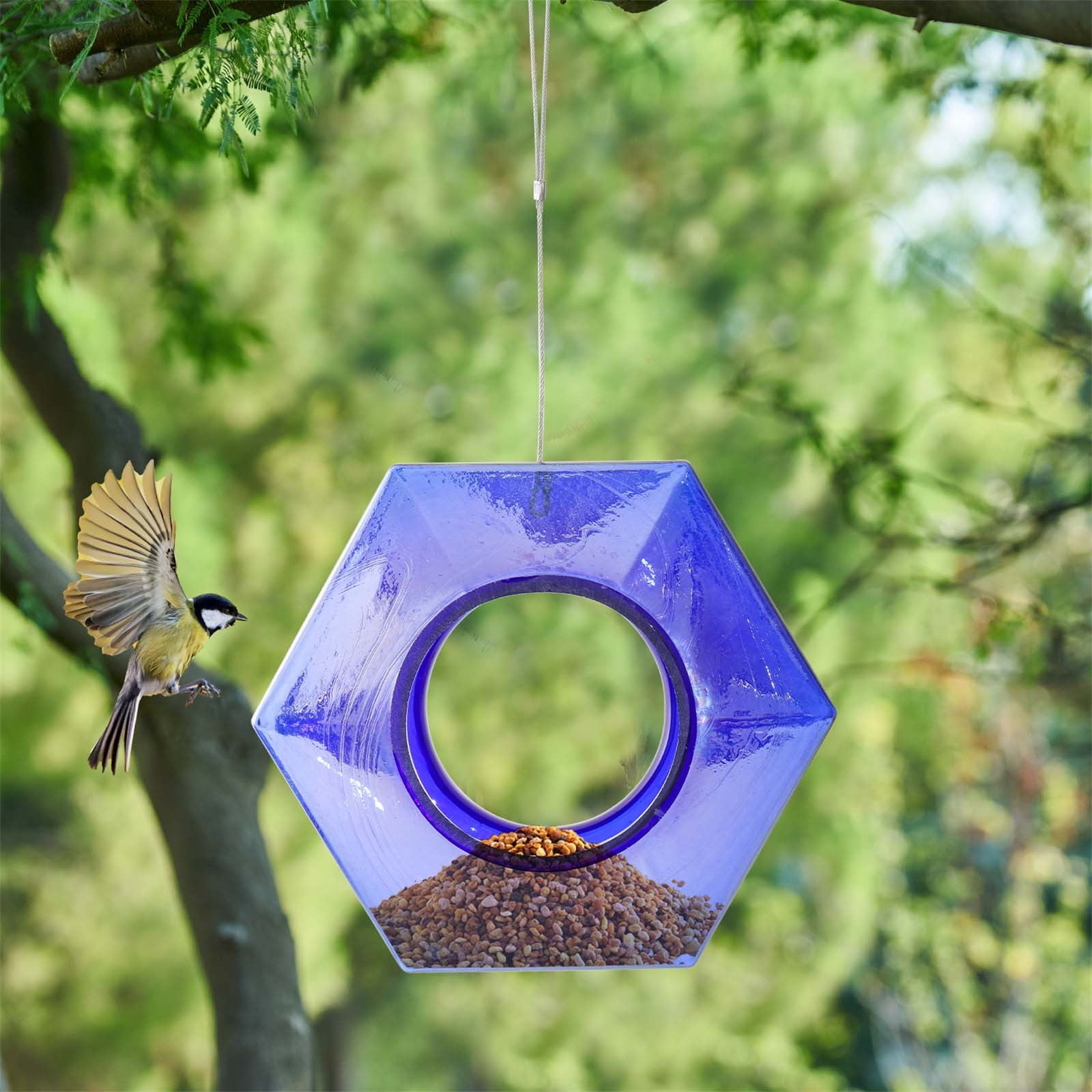 Glass Hanging Bird Feeder for Outdoors – 8in Transparent Rainproof Seed Feeder, Easy to Clean, Decorative Glass Feeder for Garden, Courtyard, Balcony or Patio