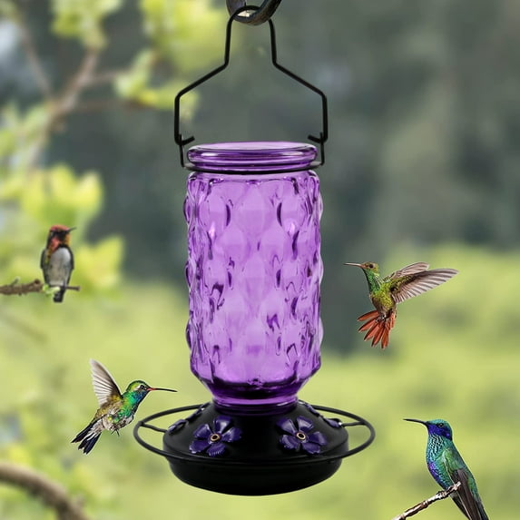 Glass Hummingbird Feeder, 5 Feeding Ports Outdoor Leak Proof Design, Wide Mouth Easy Fill and Clean, Durable Hanging Garden Decor, Bird Feeder for Backyard