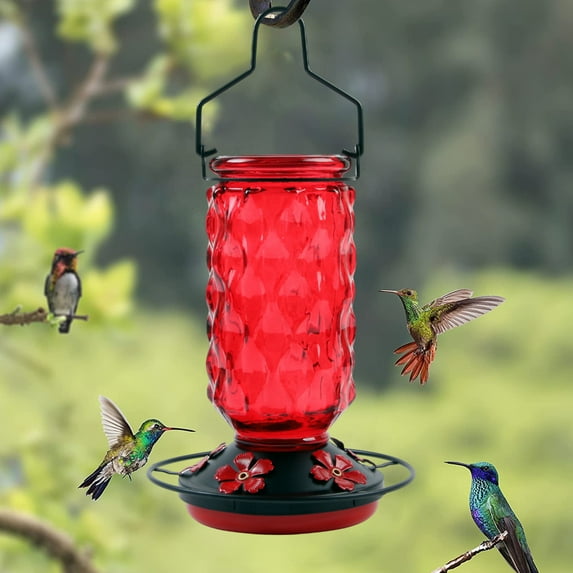 Glass Hummingbird Feeder, 5 Feeding Ports Outdoor Leak Proof Design, Wide Mouth Easy Fill and Clean, Durable Hanging Garden Decor, Bird Feeder for Backyard