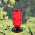 thumbnail image 1 of Glass Hummingbird Feeder with 5 Feeding Ports | Wide Mouth for Easy Filling & Cleaning | Outdoor Hanging Bird Feeder for Garden & Backyard | 11.42" Tall | Red, Purple or Blue, 1 of 6