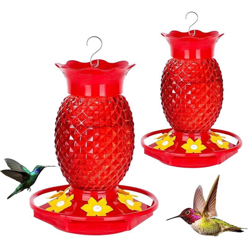Glass Hummingbird Feeders for Outdoors Hanging Ant and Bee Proof 16OZ 2 ...