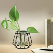Glass Hydroponic Vase for Ivy Plants | Iron Art Home Decor | Modern Flower Arrangement Display for Living Room, Bedroom & Office | 4.33x4.33x3.15 Inches