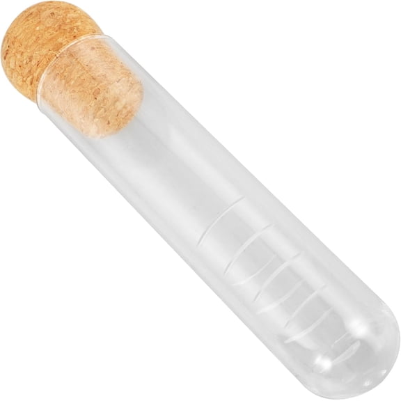 Glass Loose Tea Infuser, Test Tube Shape Tea Strainer for Travel & Office, Portable with Protective Foam Box, Borosilicate Glass