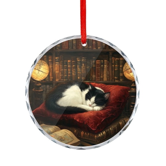 Glass Ornament Funny Cartoon Bookshelf Sleeping Cat Crystal Glass Christmas Decor with Holiday Design Book Themed Gifts Hanging Ornaments for Holiday Decoration