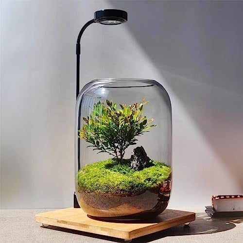 Glass Plant Terrarium Kit, 6.3"X8.6" -Landscape Vase with Light, Snowman and Pine Trees, for Home Office Tabletop Decoration, Wardian, Unique Christmas Gift$$Garden & Patio