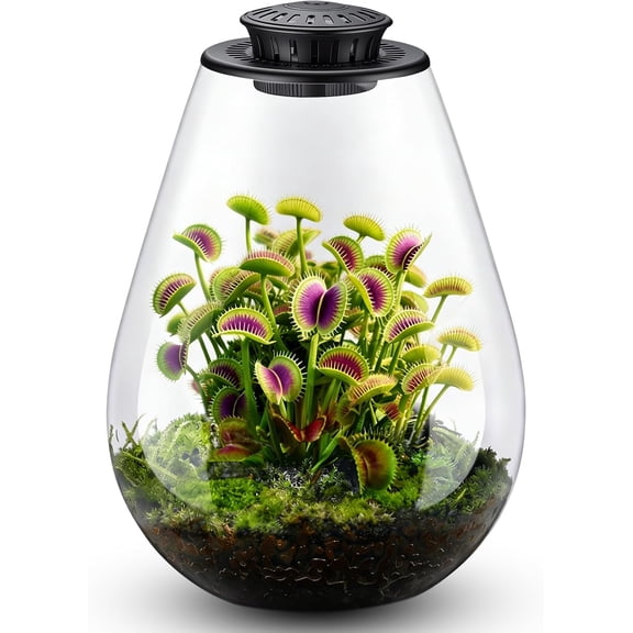 Glass Plant Terrarium with LED Grow Light 7.8" Borosilicate Adjustable Ventilation & Timer for Venus Fly Trap Moss Succulents Mini Landscape Desk Decor Home Office