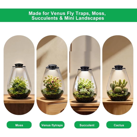 Glass Plant Terrarium with LED Grow Light, 7.8 Inch Borosilicate Glass, with Adjustable Ventilation and Timer, for Venus Flytrap, Moss, Succulents, Mini Landscape, Home Office Desk Decoratio