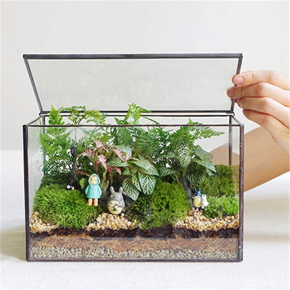 Glass Plant Terrarium with Lid, Rectangular Black Metal Frame Box for Indoor Plants, Clear Glass Container for Moss, Succulent, Fairy Garden, Tabletop Decor DIY Gift, 8.3L x 4.7W x 5.5H
