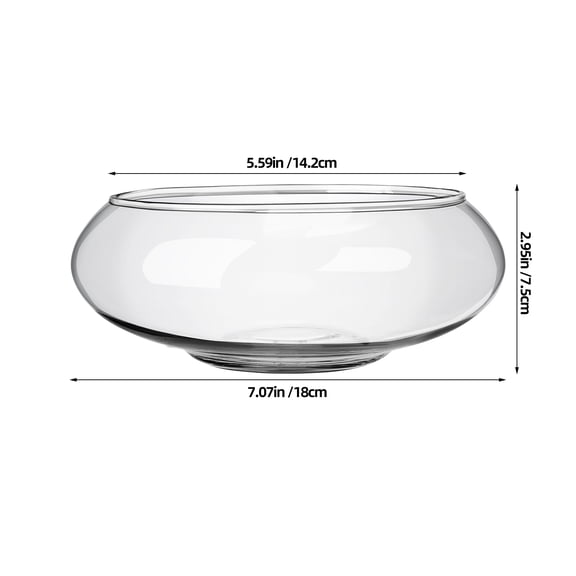 Clear Glass Planter Pot for Small Flowerpot Container Decorative Fish Bowl Terrarium