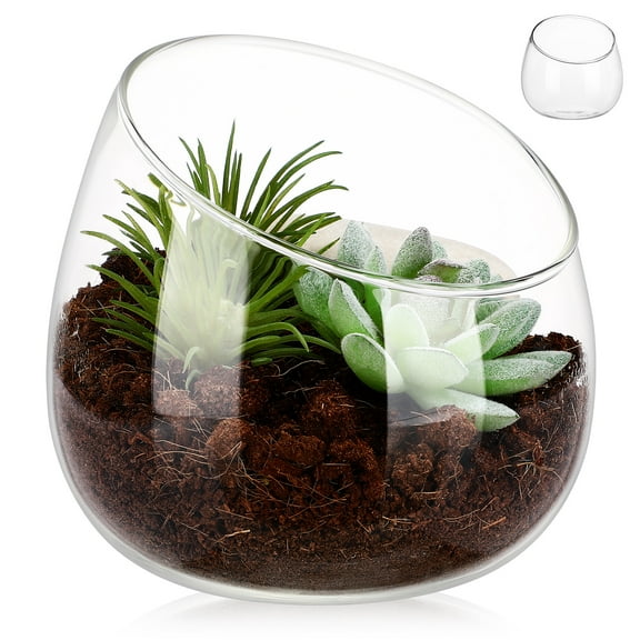 Glass Planters For Indoor Plants, Terrarium Jar Succulents Decorative Glass Bowl For Home And Office Desk