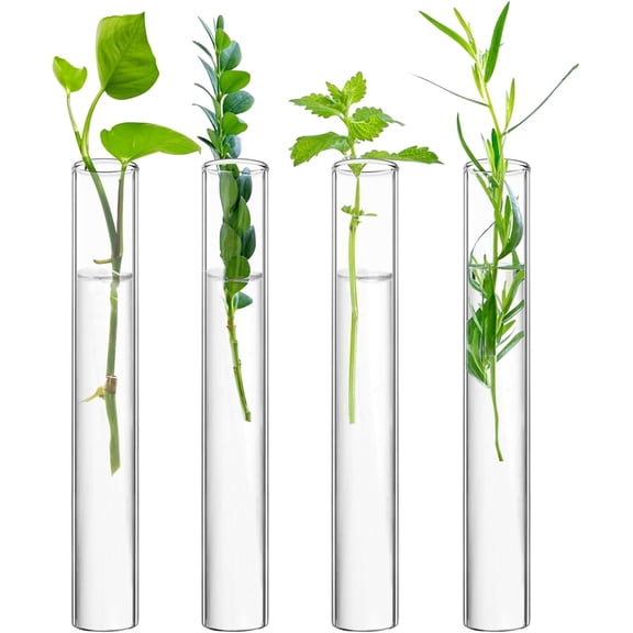 Glass Propagation Stations Accessories 4 Tube Vases | Test Tubes Tiers Planters, Wall Terrarium, Hydroponic Cuttings, Home Office Plant Hanger, Flower Decor
