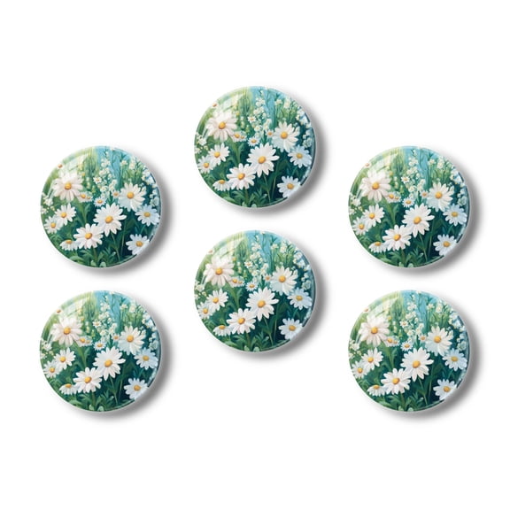 Glass Refrigerator Magnet 6Pcs Magnetic Fridge Sticker,Decor for Kitchen,Whiteboard,Cabinet,Summery Picture Of Spring Wildflowers Daisy In Summer Garden
