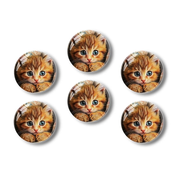 Glass Refrigerator Magnet 6Pcs Magnetic Fridge Sticker,Decor for Kitchen,Whiteboard,Cabinet,Adorable Orange Kitten With Blue Eyes