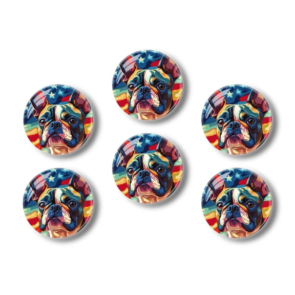 Glass Refrigerator Magnet 6Pcs Magnetic Fridge Sticker,Decor for Kitchen,Whiteboard,Cabinet,American Inspired Portrait Of Frenchie