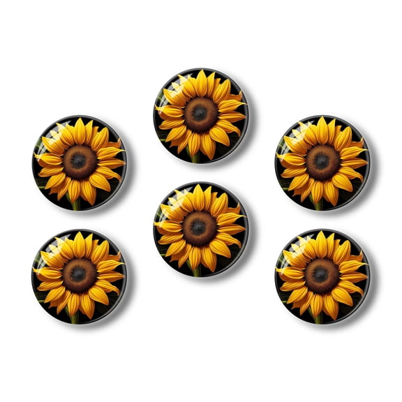 Glass Refrigerator Magnet 6Pcs Magnetic Fridge Sticker,Decor for Kitchen,Whiteboard,Cabinet,Beautiful Sunflower With Leaves On Black Background