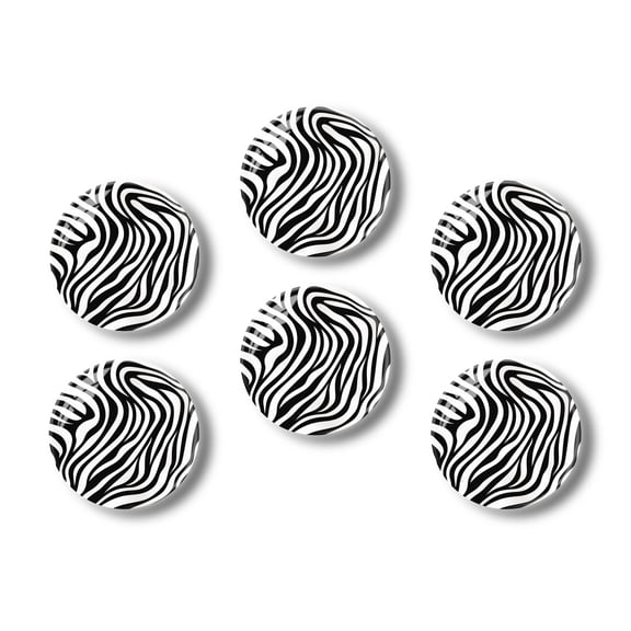 Glass Refrigerator Magnet 6Pcs Magnetic Fridge Sticker,Decor for Kitchen,Whiteboard,Cabinet,Black And White Zebra Skin Pattern