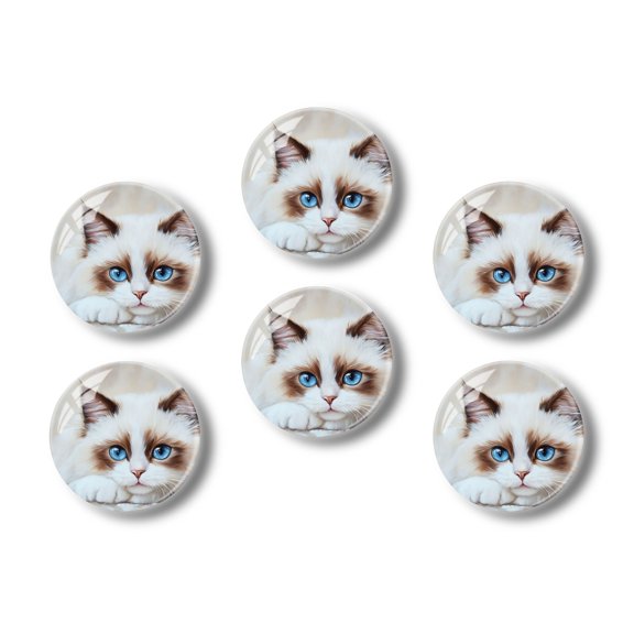 Glass Refrigerator Magnet 6Pcs Magnetic Fridge Sticker,Decor for Kitchen,Whiteboard,Cabinet,Cat With Cute Face