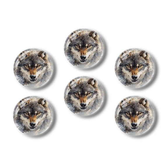Glass Refrigerator Magnet 6Pcs Magnetic Fridge Sticker,Decor for Kitchen,Whiteboard,Cabinet,Close-Up Of The Face Of Angry Wolf