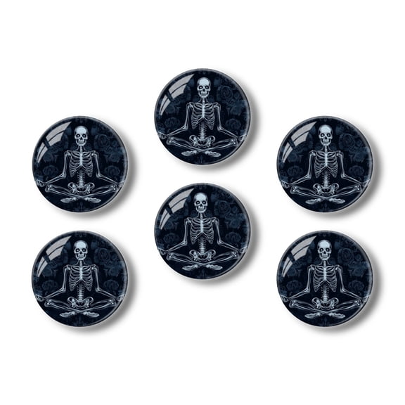 Glass Refrigerator Magnet 6Pcs Magnetic Fridge Sticker,Decor for Kitchen,Whiteboard,Cabinet,Dark Style Floral Skull