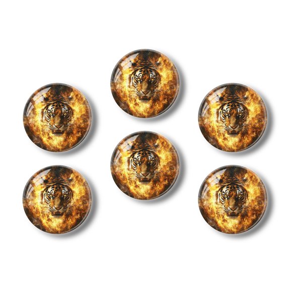 Glass Refrigerator Magnet 6Pcs Magnetic Fridge Sticker,Decor for Kitchen,Whiteboard,Cabinet,Fierce Tiger In Fiery Aura