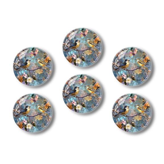 Glass Refrigerator Magnet 6Pcs Magnetic Fridge Sticker,Decor for Kitchen,Whiteboard,Cabinet,Flowers And Birds In Soft Tones