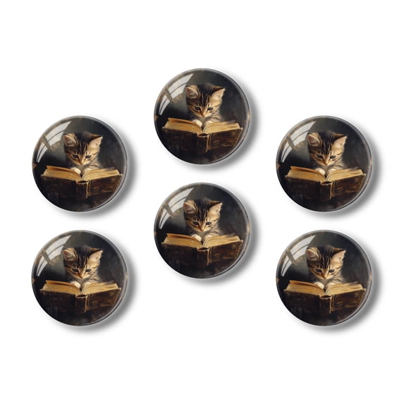 Glass Refrigerator Magnet 6Pcs Magnetic Fridge Sticker,Decor for Kitchen,Whiteboard,Cabinet,Kitten Reading Old Book Painting