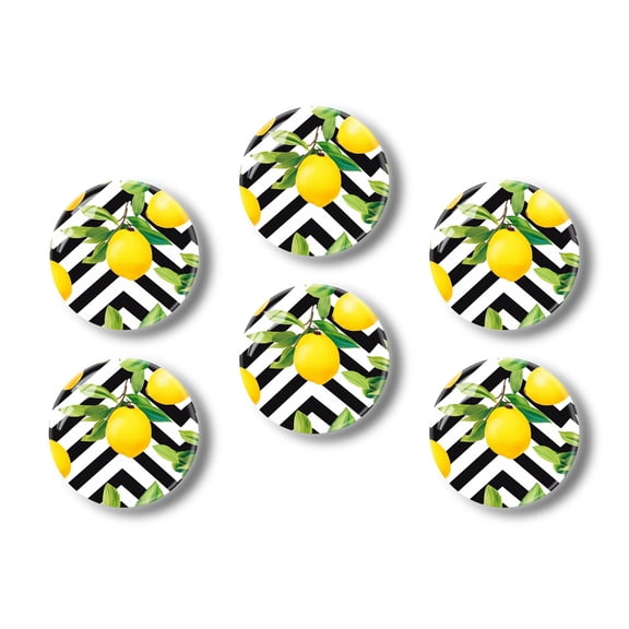 Glass Refrigerator Magnet 6Pcs Magnetic Fridge Sticker,Decor for Kitchen,Whiteboard,Cabinet,Lemon Fruit Pattern On Black And White Background