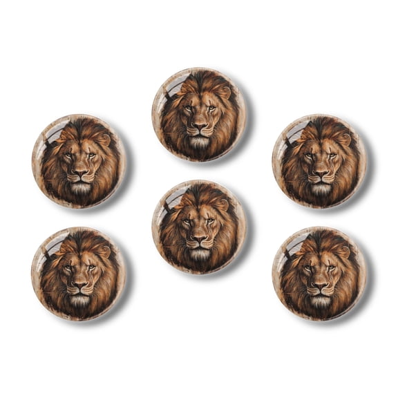 Glass Refrigerator Magnet 6Pcs Magnetic Fridge Sticker,Decor for Kitchen,Whiteboard,Cabinet,Lion With Wooden Circular Board