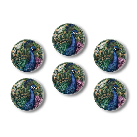 Glass Refrigerator Magnet 6Pcs Magnetic Fridge Sticker,Decor for Kitchen,Whiteboard,Cabinet,Peacock With Graceful Feathers And Flowers