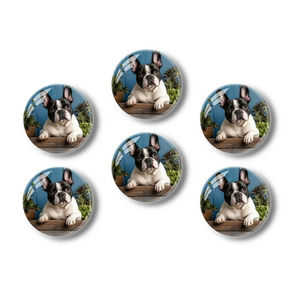 Glass Refrigerator Magnet 6Pcs Magnetic Fridge Sticker,Decor for Kitchen,Whiteboard,Cabinet,Photo Of Adorable French Bulldog With Head Tilted